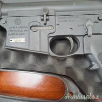 S&W M&P 15 - 22 .22 PPC