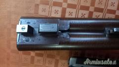 Accuracy Cani esterni  12