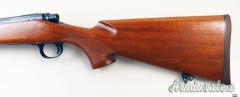 Remington 700 .270 Winchester