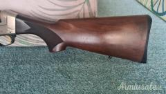 Benelli Pasion  12