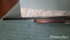 Benelli Pasion  12
