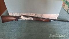 Benelli Pasion  12