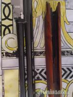 Rizzini  28