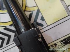 Rizzini  28