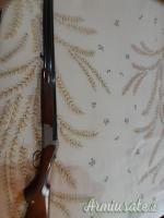 Zoli Antonio Delfino Special  12