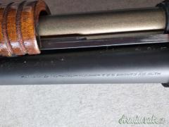 Fabarm magnum 12