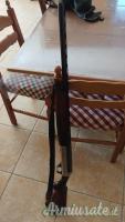Benelli raffaello 12