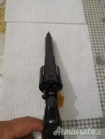 Colt Python .357 Magnum  |  9x31mmR  | .353 Casull