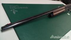 Benelli RAFFAELLO 28  28