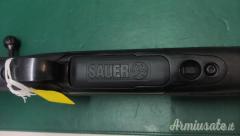 Sauer 101 .308 Winchester