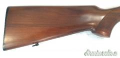Rizzini Ares Light 20