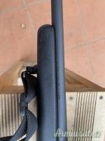 Remington 700 .243 Winchester