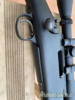 Remington 700 .243 Winchester