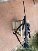 Remington 700 .243 Winchester