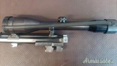 Accuracy the lux  .300 Weatherby Magnum