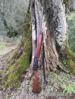Winchester Sx 4  20