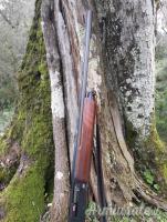 Winchester Sx 4  20