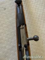 Mosin nagant