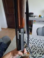 Semiautomatici  12