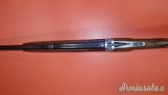 Sabatti Forest 12/308