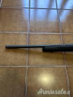 Savage MkII .22 Long Rifle