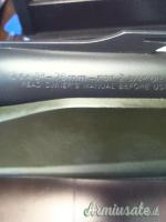 Benelli vinci 12