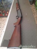 Browning Fhoenix 20