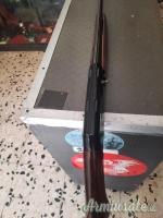 Browning Fhoenix 20