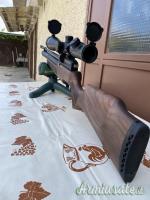 kral Arms puncher ...Altro