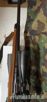 Sterling Damper .270 Winchester