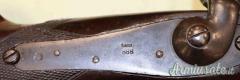 Carabina Werdl Lenz Mod. 1868  Cal. 10.35