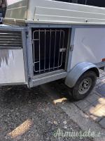 Carrello cresci t4
