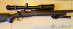 Remington 700 .308 Winchester