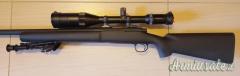 Remington 700 .308 Winchester