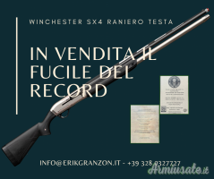 Winchester SX4 12