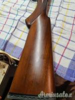 Bernardelli . 12