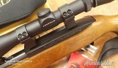 Ruger | Sturm 10 - 22   .22 Long Rifle
