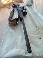 Horizon  .308 Winchester