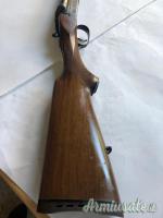 Sauer  12