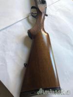 Sauer  12