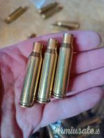 Bossoli 308 winchester