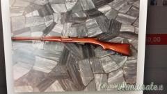 Vendo Schimdt Rubin mod.96/11