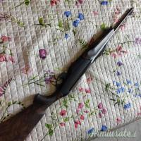 Benelli argo e .308 Winchester