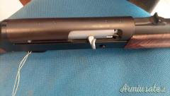 Beretta Pintail  12