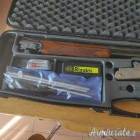 Rizzini Emilio vertex 12