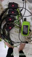Garmin alpha2300 e Alpha 100 e Astro 320 + collari
