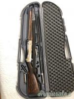 Benelli Raffaello 12