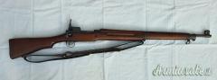 Remington P17