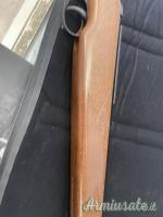 Diana 350 magnum ...Altro