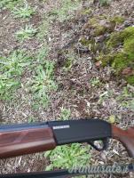 Winchester Sx 4 20 20